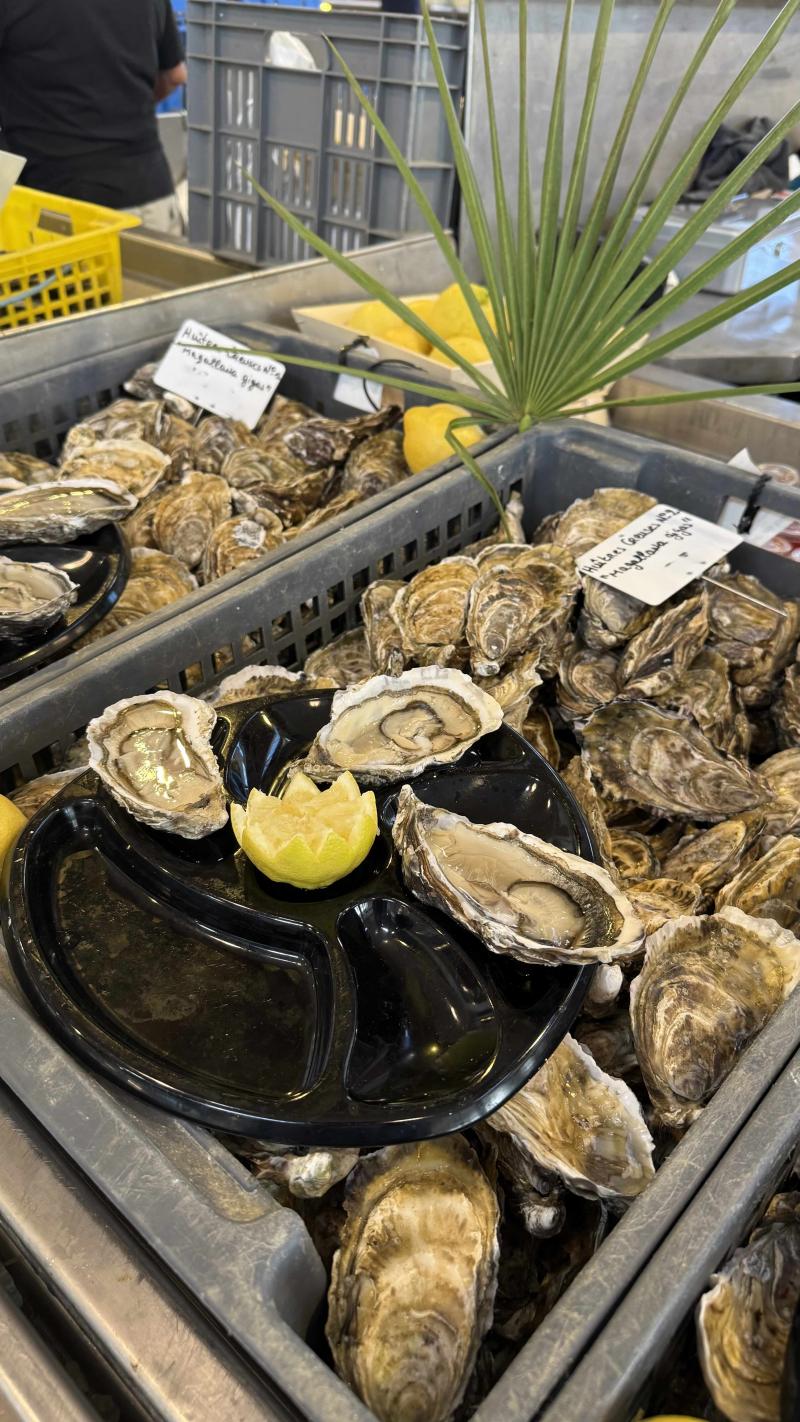 huitres-creuses-cancale