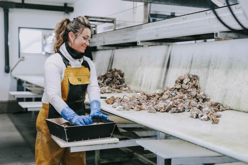 huitres-creuses-cancale