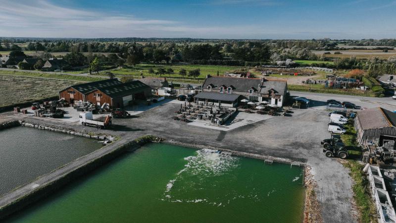 huitres-creuses-cancale