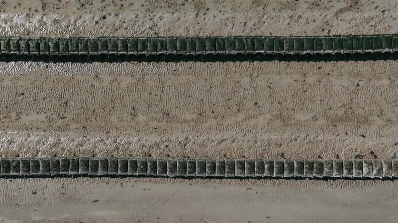 huitres-creuses-cancale